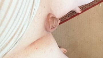 More Sugar & Spice #2